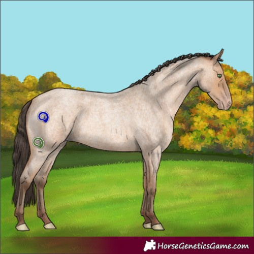 Horse Color:Amber Champagne Roan 