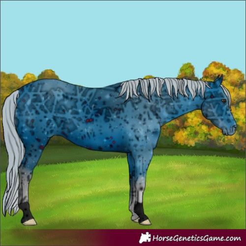 Horse Color:ERROR: UNKNOWN ANOMALY