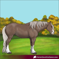 Horse Color:Silver Black 