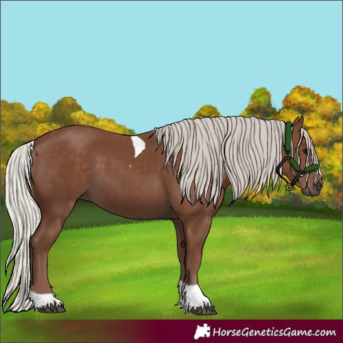 Horse Color:Silver Black Tobiano
