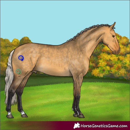 Horse Color:Silver Buckskin Dun Sabino 