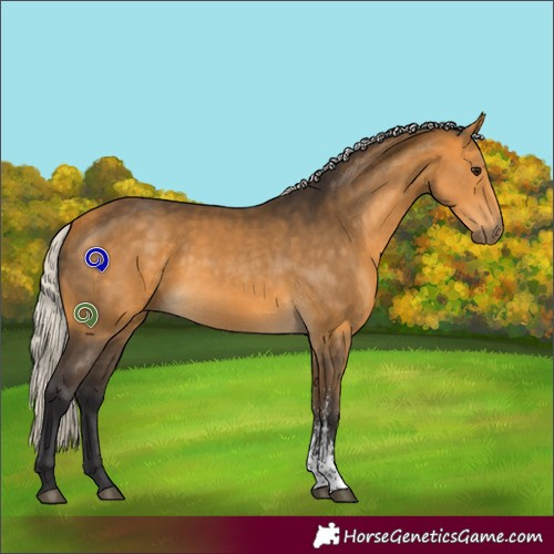 Horse Color:Silver Buckskin Sabino 