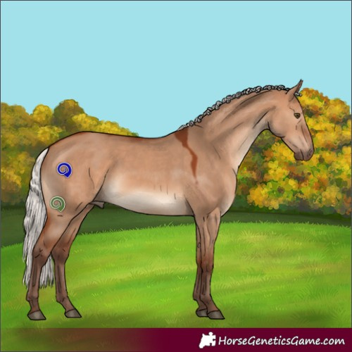 Horse Color:Silver Bay Dun Rabicano 
