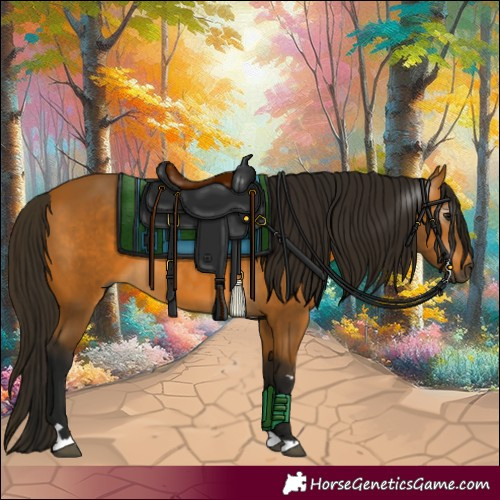 Horse Color:Gray Buckskin