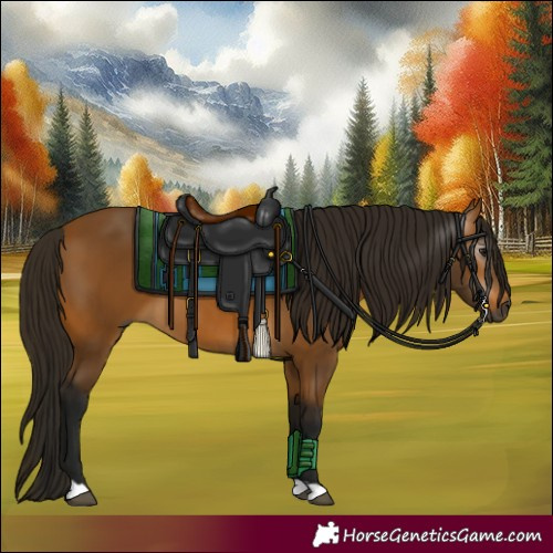 Horse Color:Gray Buckskin