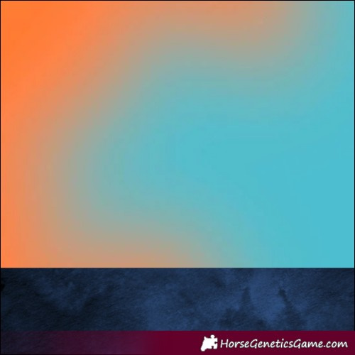 Horse Color:Gray Bay 