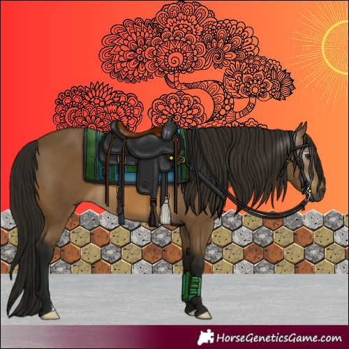 Horse Color:Gray Buckskin
