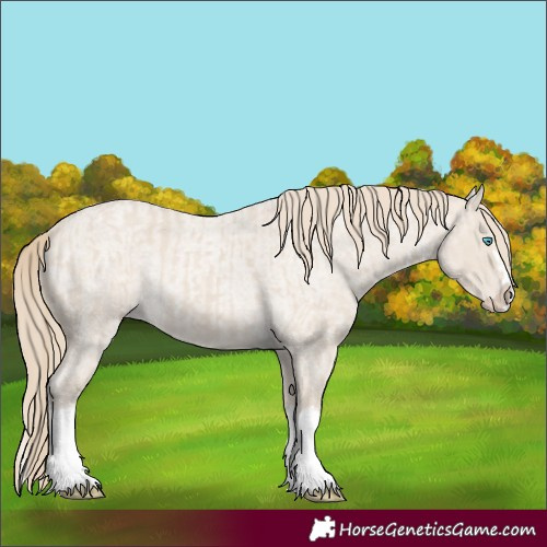 Horse Color:Smoky Creme Splash and Smoky Creme Roan Splash