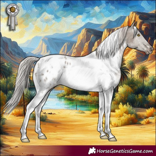 Horse Color:White Spotted Silver Grullo Tobiano Near Leopard Rabicano 