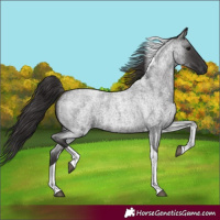Horse Color:Smoky Blue Roan Tobiano 