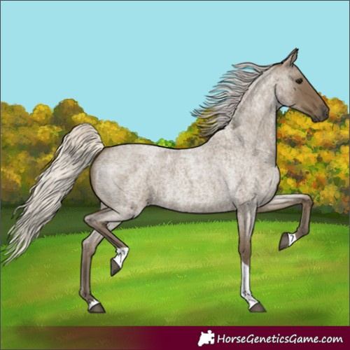 Horse Color:Silver Smoky Blue Roan Tobiano 