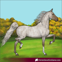 Horse Color:Silver Smoky Blue Roan Tobiano 