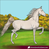 Horse Color:Smoky Creme 