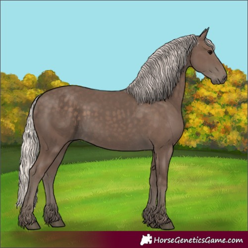 Horse Color:Silver Black 