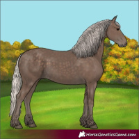 Horse Color:Silver Black 