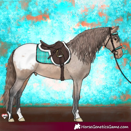 Horse Color:Bay Dun Snowcap 