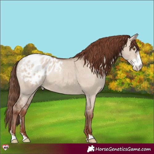 Horse Color:Classic Champagne Dun Sabino Varnish Rabicano 