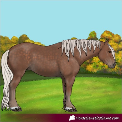 Horse Color:Silver Black