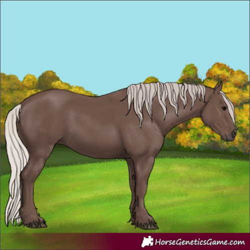 Horse Color:Silver Black 