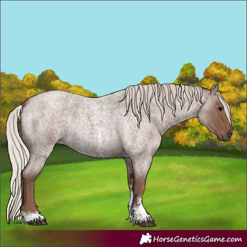 Horse Color:Silver Blue Roan Sabino 