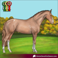 Horse Color:Gold Champagne Sabino Varnish 