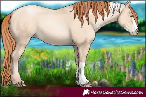 Horse Color:Sable Champagne Pearl Dun Sabino Tobiano 