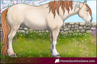 Horse Color:Sable Champagne Pearl Dun Sabino Tobiano