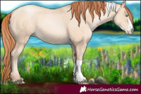 Horse Color:Sable Champagne Pearl Dun Sabino Tobiano