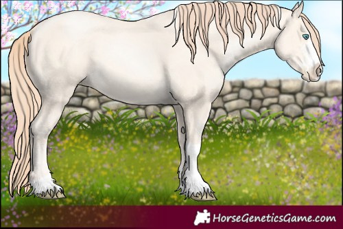 Horse Color:Sable Cream Champagne Pearl Sabino Tobiano 