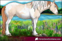 Horse Color:Sable Champagne Pearl Dun Tobiano Frame 