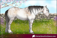 Horse Color:Gray White Spotted Amber Champagne Ice Onyx 