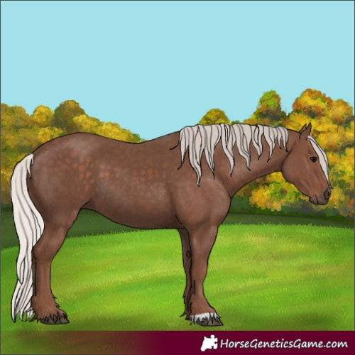 Horse Color:Silver Black 