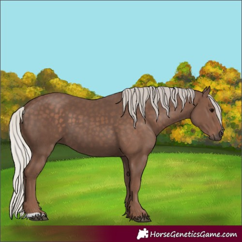 Horse Color:Silver Black