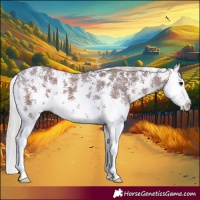 Horse Color:Silver Black Sabino Splash Varnish 