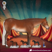 Horse Color:Silver Brown