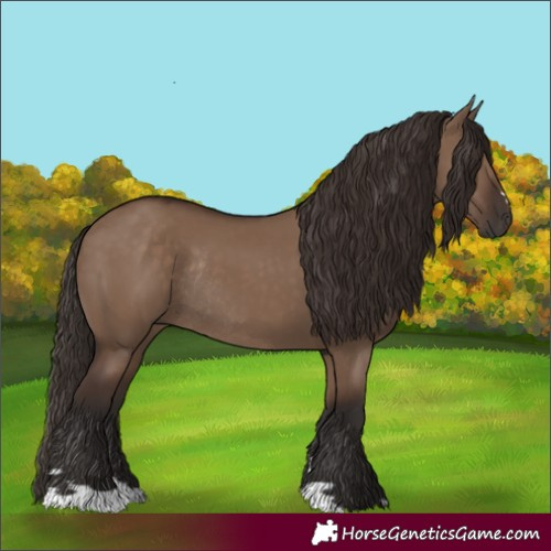 Horse Color:Liver Red Dun Rabicano 