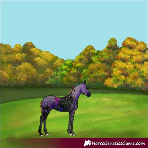 Horse Color:ERROR: UNKNOWN ANOMALY