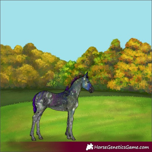 Horse Color:ERROR: UNKNOWN ANOMALY