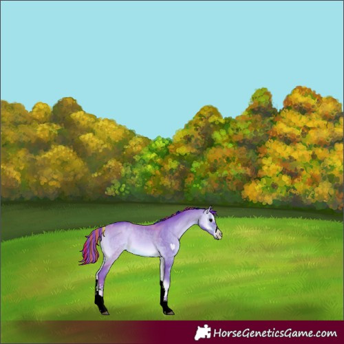 Horse Color:Painted Watercolor White Spotted Bay Onyx 