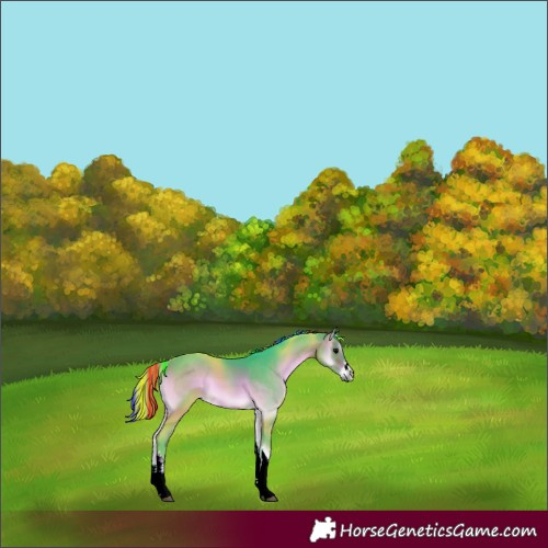 Horse Color:Painted Watercolor White Spotted Brown Onyx 