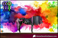 Horse Color:ERROR: UNKNOWN ANOMALY and ERROR: UNKNOWN ANOMALY