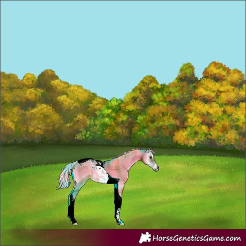 Horse Color:Watercolor Plaid  Chocolate Palomino Onyx Tobiano 