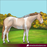 Horse Color:Red Roan Pearl Tobiano Frame 