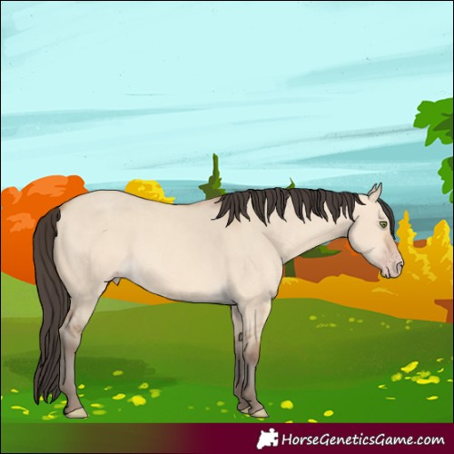 Horse Color:Amber Champagne Dun 