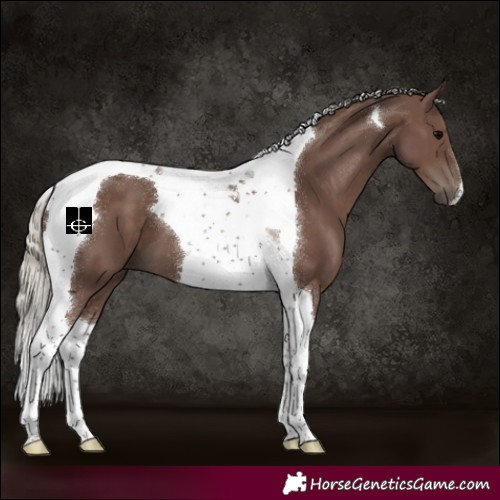 Horse Color:Silver Black Tobiano