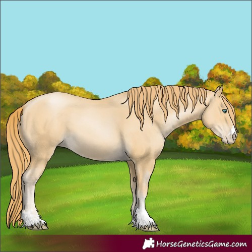 Horse Color:Smoky Black Pearl 