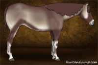 Horse Color:Chocolate Blue Onyx
