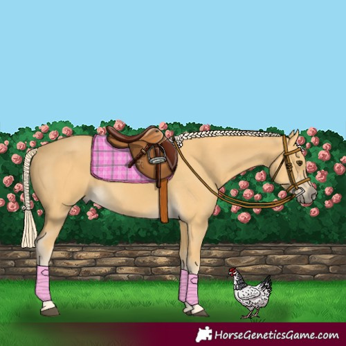 Horse Color:Palomino 