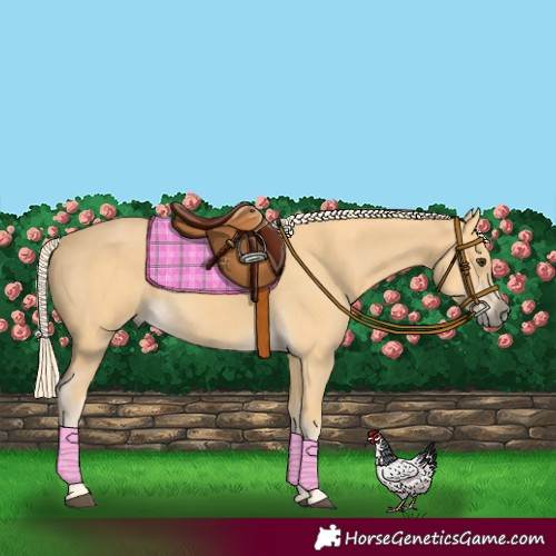 Horse Color:Palomino 