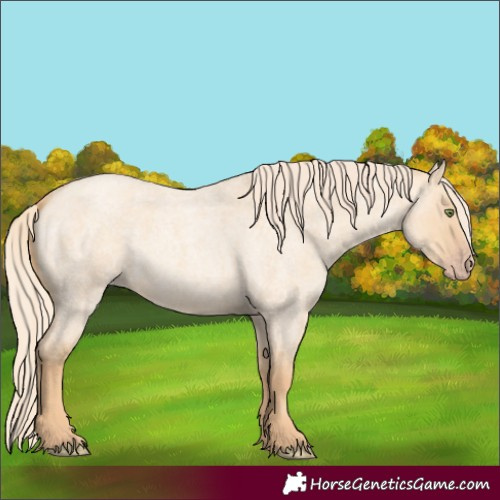 Horse Color:Gold Champagne Roan Dun 